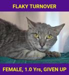 FLAKY TURNOVER